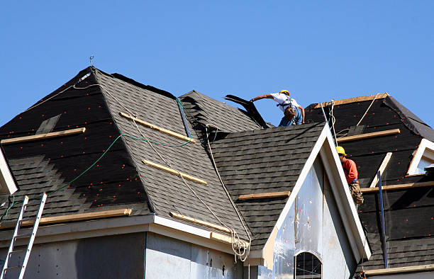 Best Roof Gutter Cleaning  in Wallington, NJ